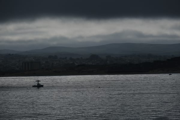 Dawn Patrol 8.8.25
